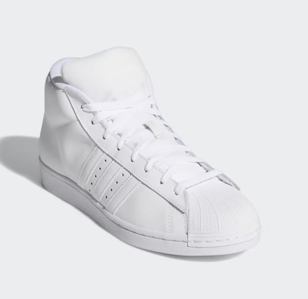 Pro Model