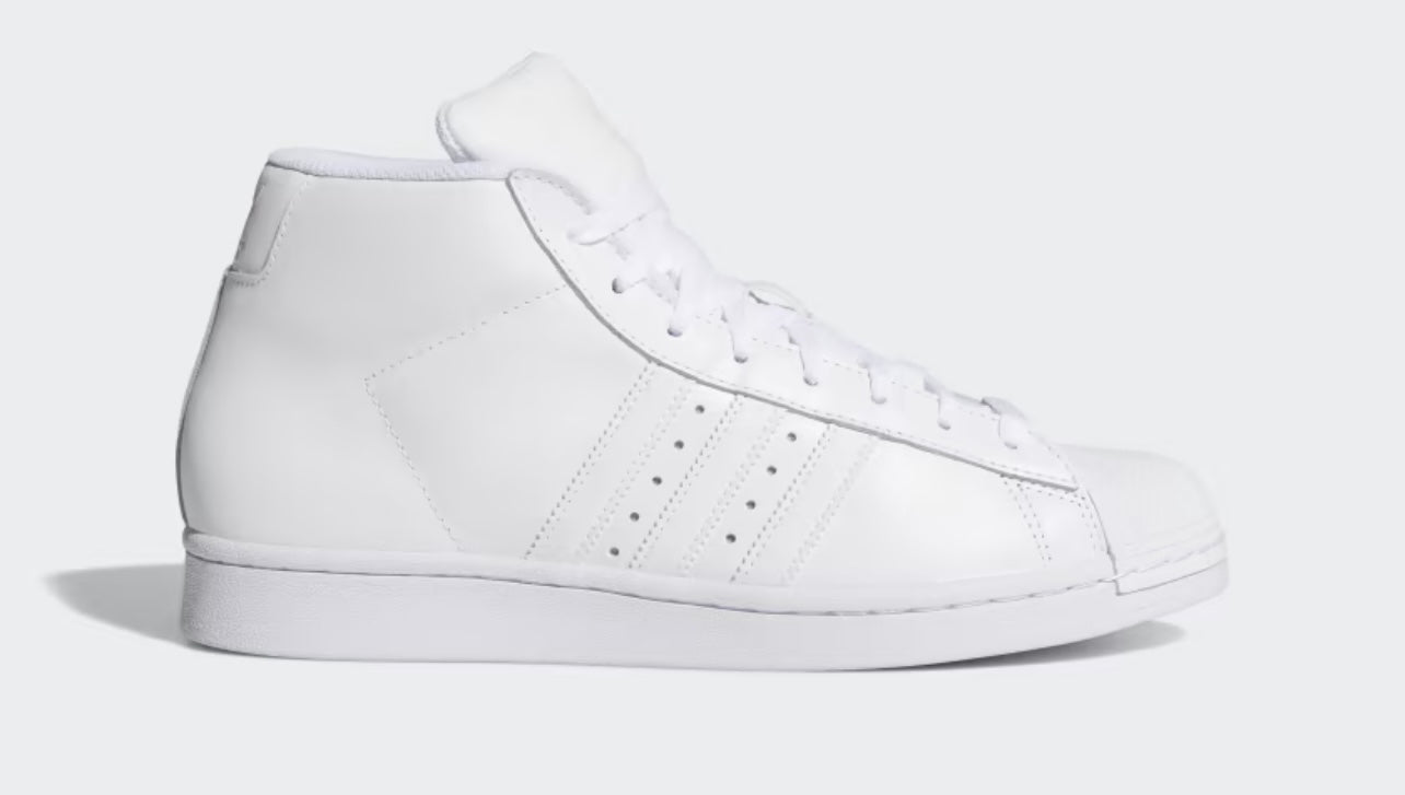 Pro Model