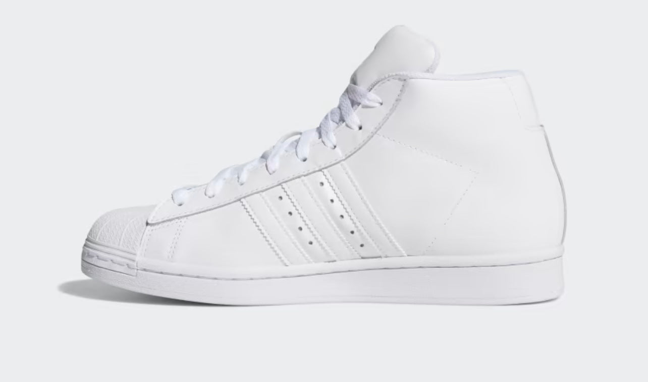 Pro Model
